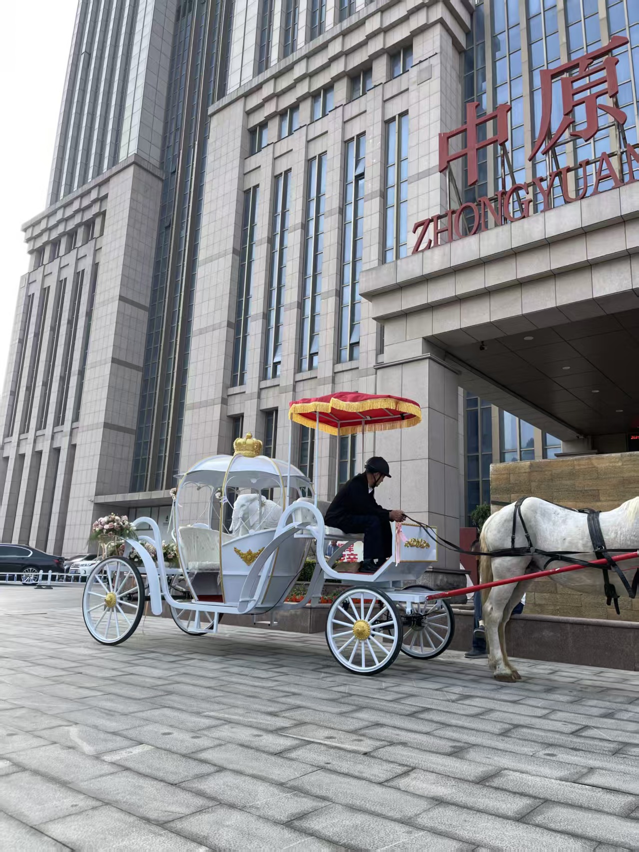 White Hollow Pumpkin Carriage - 图片 4