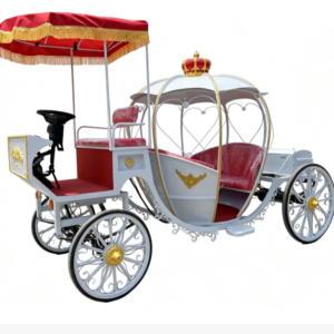 White Pumpkin Carriage