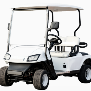 Two-Seater Golf Cart