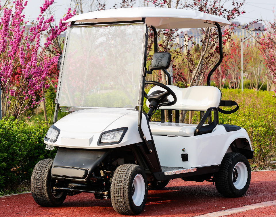 Two-Seater Golf Cart - 图片 2