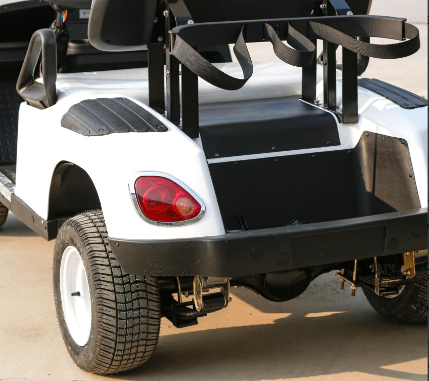 Two-Seater Golf Cart - 图片 3