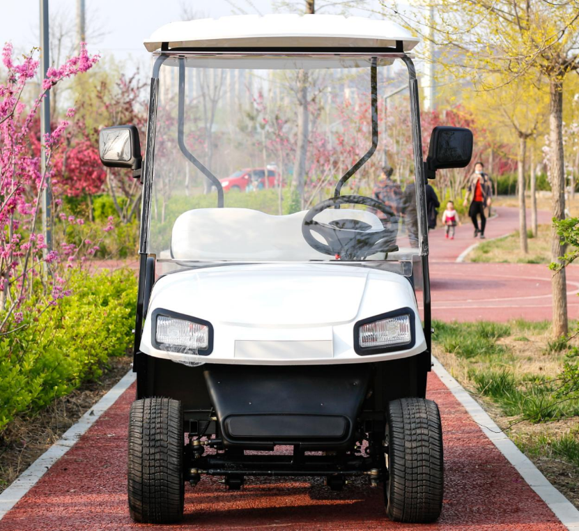Two-Seater Golf Cart - 图片 4