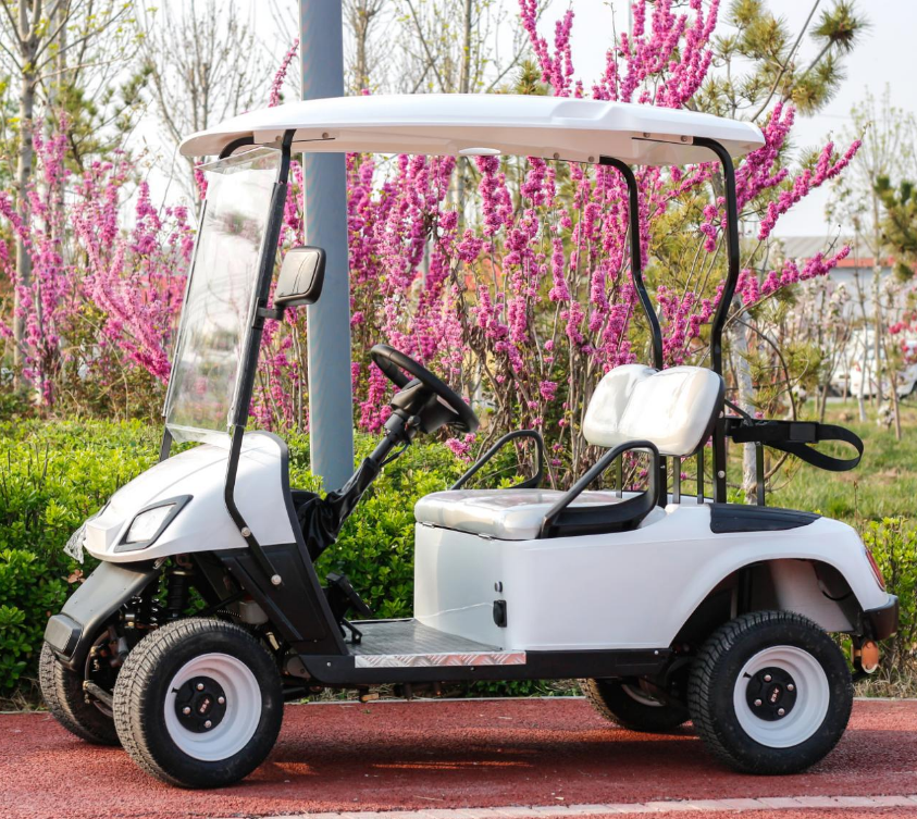 Two-Seater Golf Cart - 图片 5