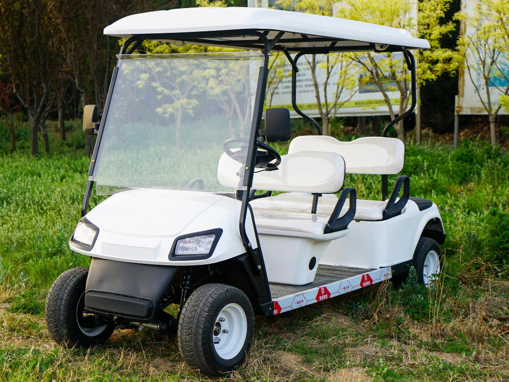 Four-Seater Golf Cart - 图片 2