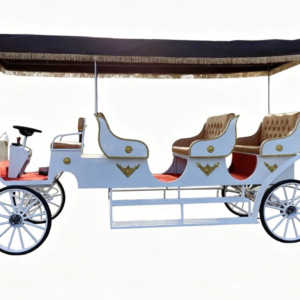 White Sightseeing Carriage