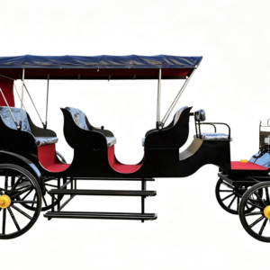 Luxury Vintage Black Sightseeing Carriage