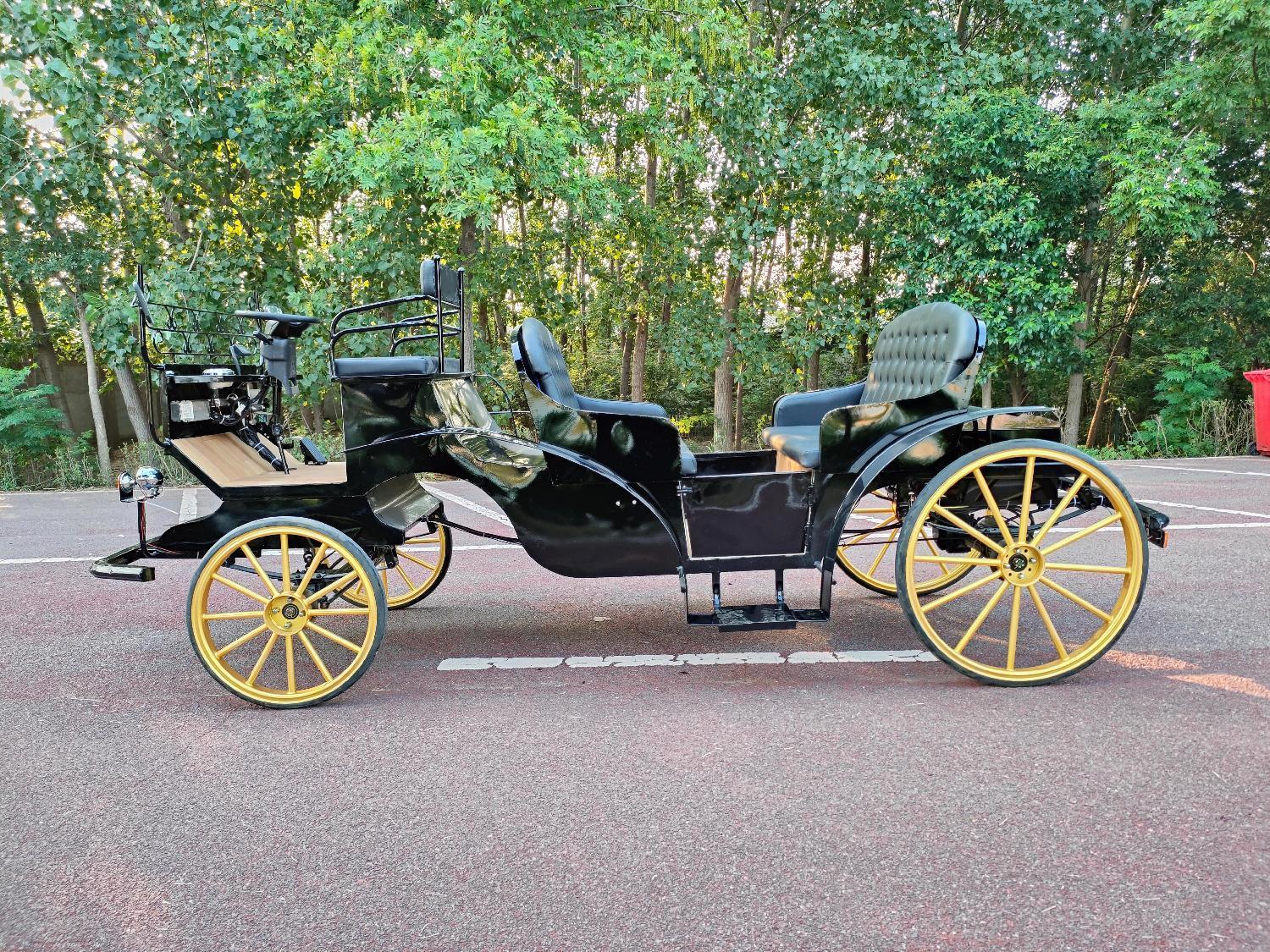 Luxury Vintage Black Sightseeing Carriage - 图片 2