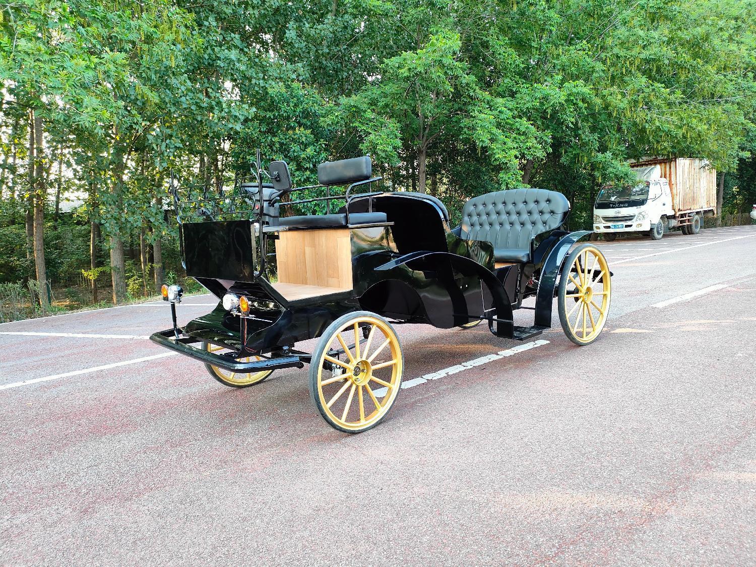 Luxury Vintage Black Sightseeing Carriage - 图片 3