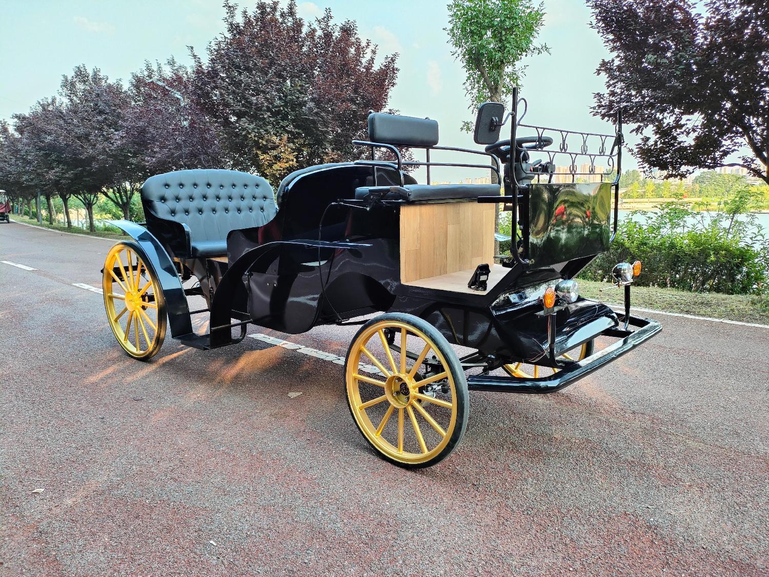 Luxury Vintage Black Sightseeing Carriage - 图片 4