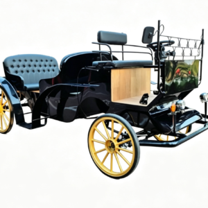 Luxury Vintage Black Sightseeing Carriage