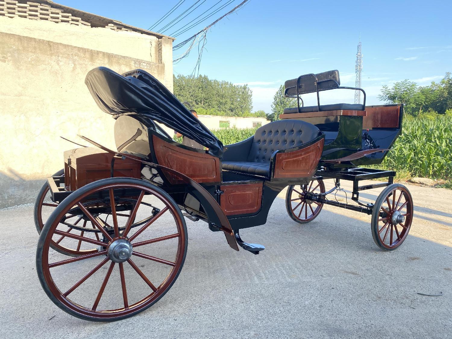 Luxury Vintage Black Sightseeing Carriage - 图片 2