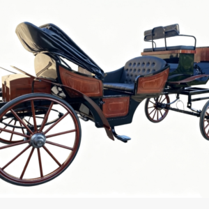 Luxury Vintage Black Sightseeing Carriage