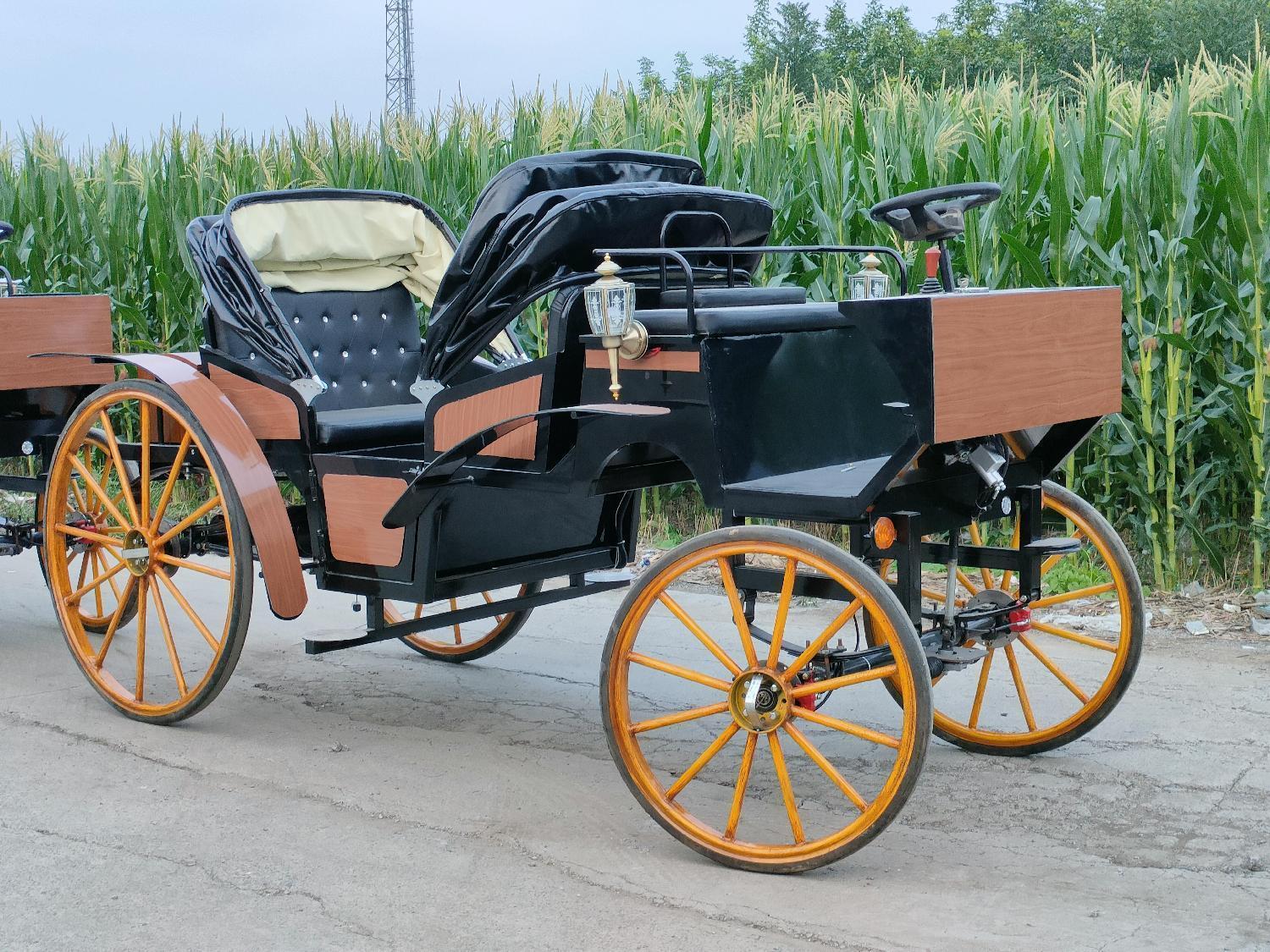 Luxury Vintage Black Sightseeing Carriage - 图片 2