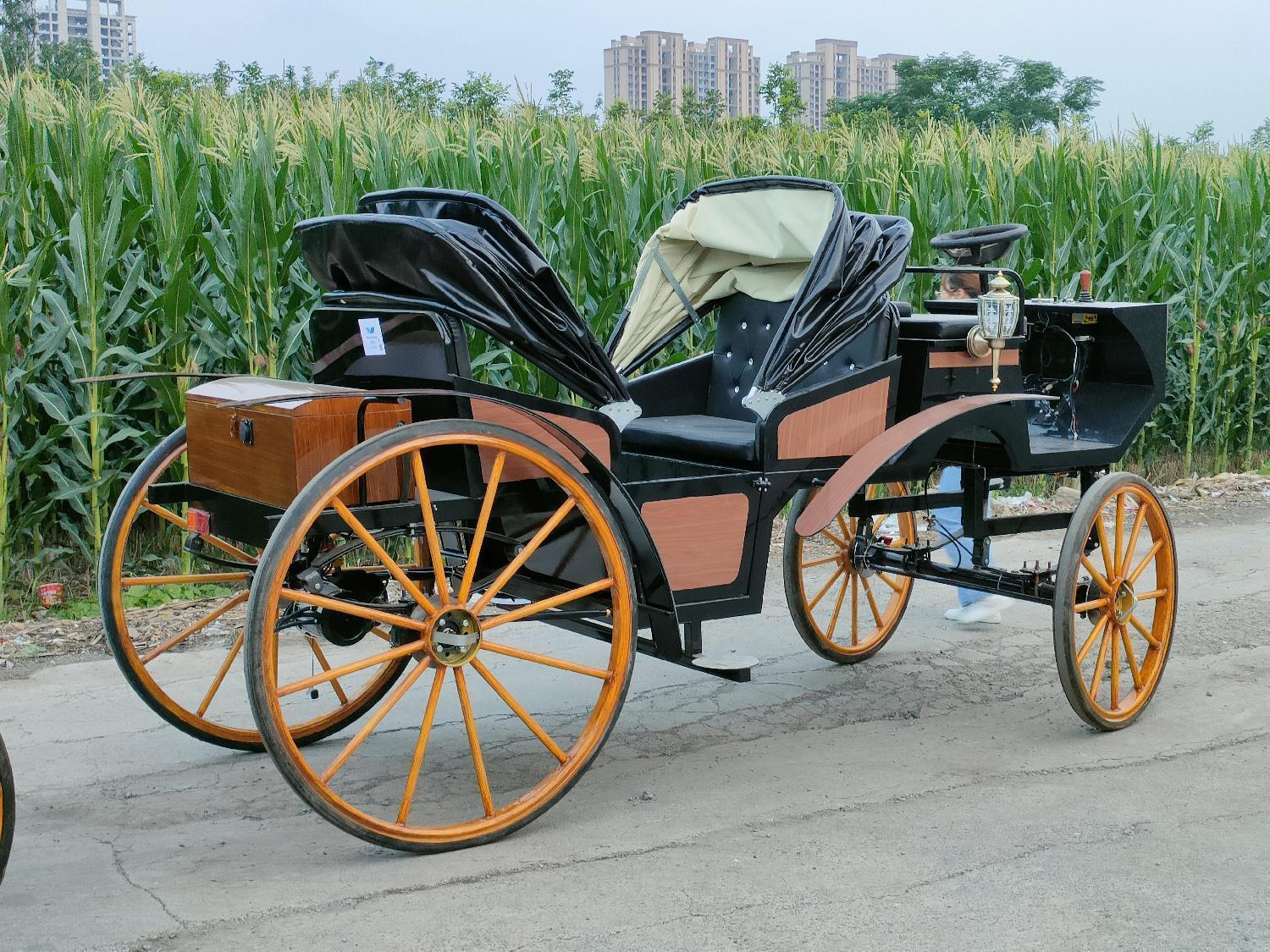 Luxury Vintage Black Sightseeing Carriage - 图片 3