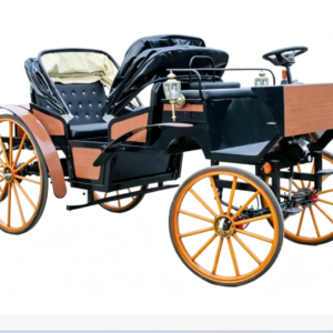 Luxury Vintage Black Sightseeing Carriage