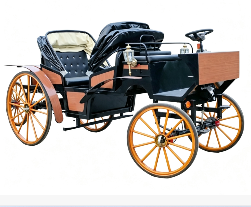Luxury Vintage Black Sightseeing Carriage