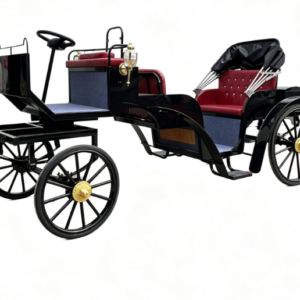 Luxury Vintage Black Sightseeing Carriage