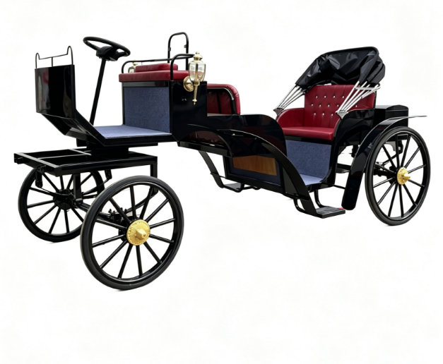 Luxury Vintage Black Sightseeing Carriage
