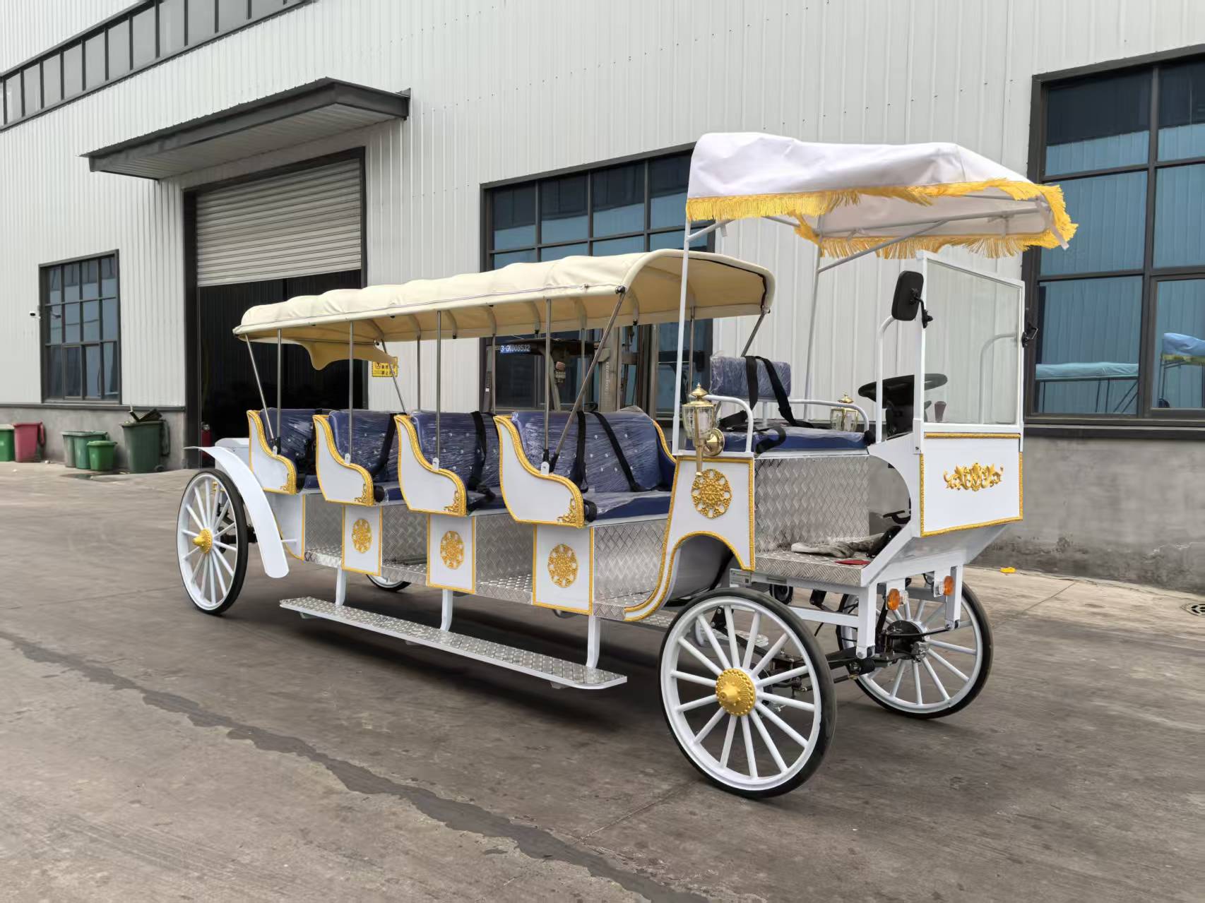 Large Sightseeing Carriage - 图片 2