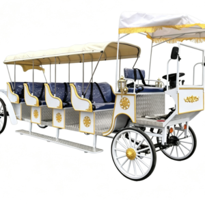 Large Sightseeing Carriage