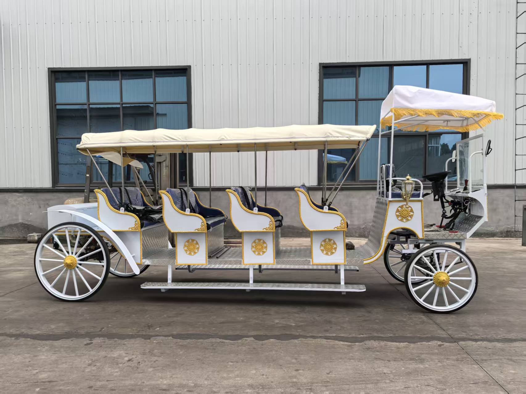 Large Sightseeing Carriage - 图片 3