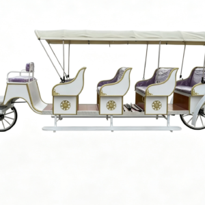Large Sightseeing Carriage