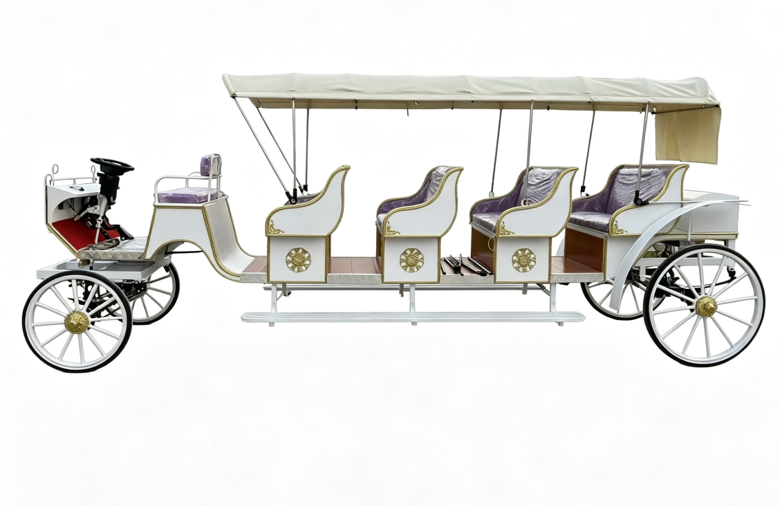Large Sightseeing Carriage