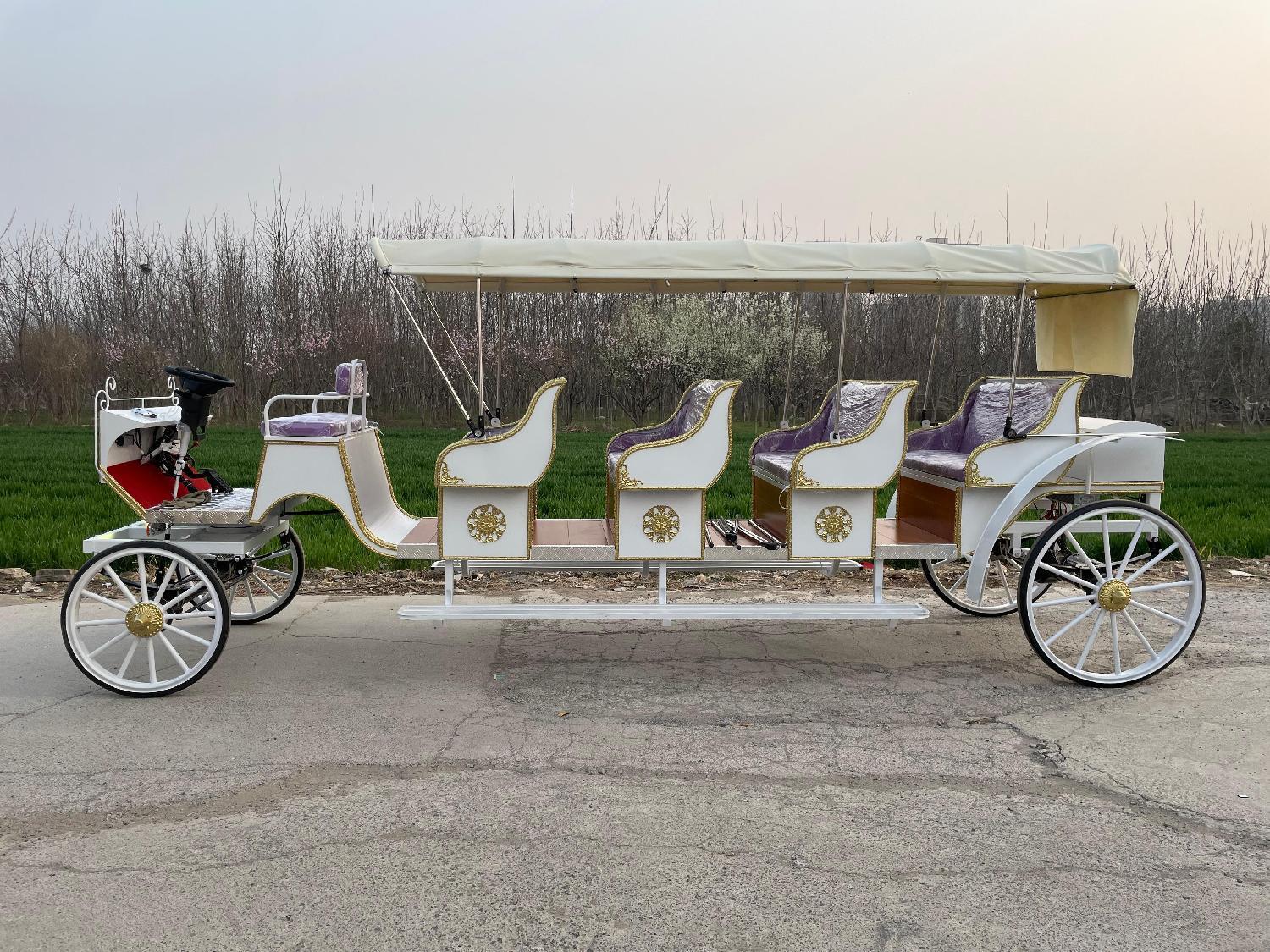 Large Sightseeing Carriage - 图片 5