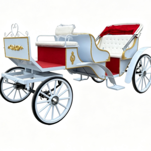 Double-Row Sightseeing Carriage