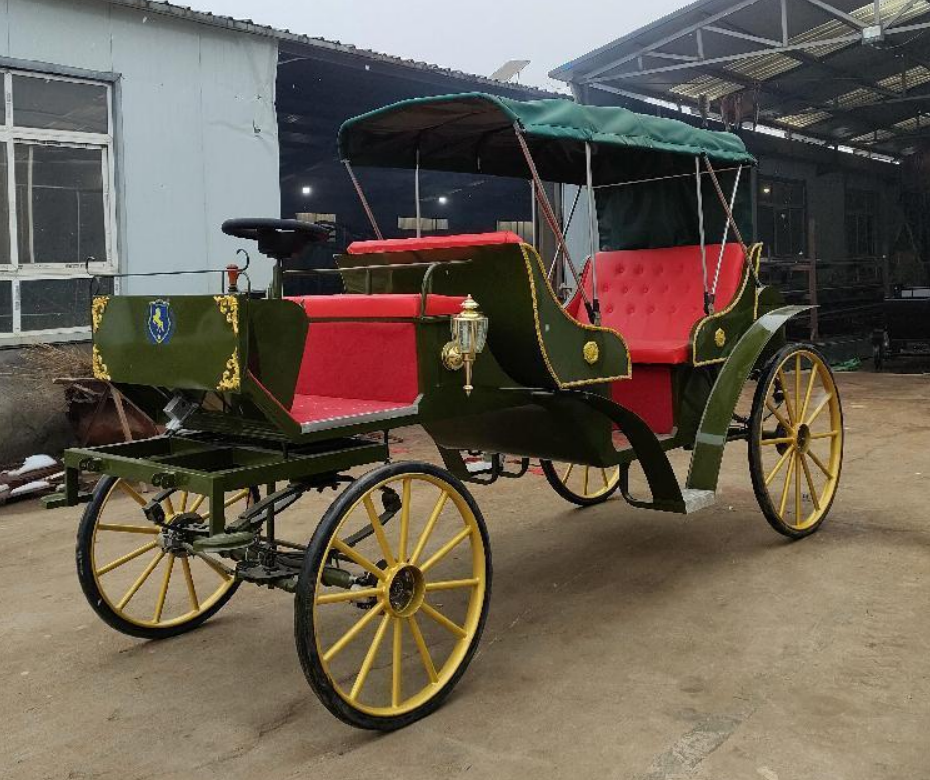 Double-Row Sightseeing Carriage - 图片 2