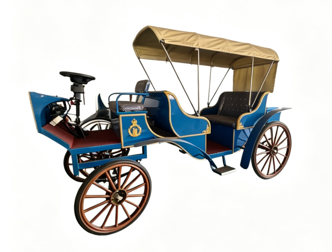 Blue Sightseeing Carriage