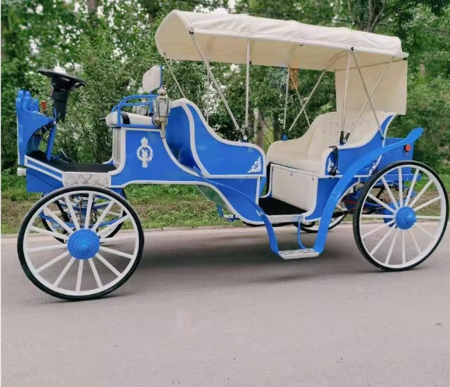 Blue Sightseeing Carriage - 图片 2