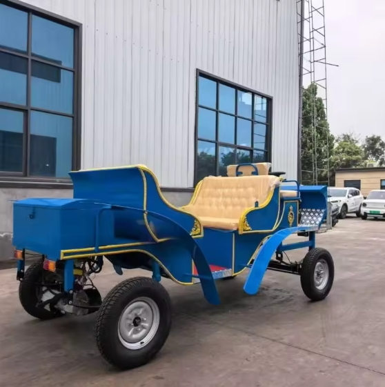 Blue Sightseeing Carriage - 图片 3