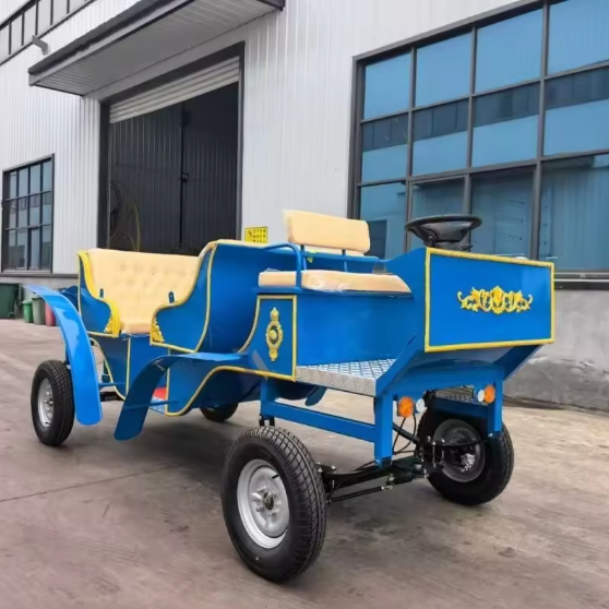 Blue Sightseeing Carriage - 图片 4