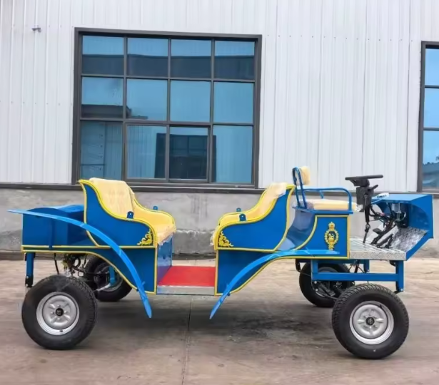 Blue Sightseeing Carriage - 图片 5