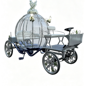 Dreamy Silver Carriage
