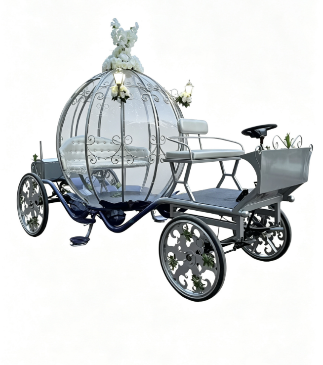 Dreamy Silver Carriage