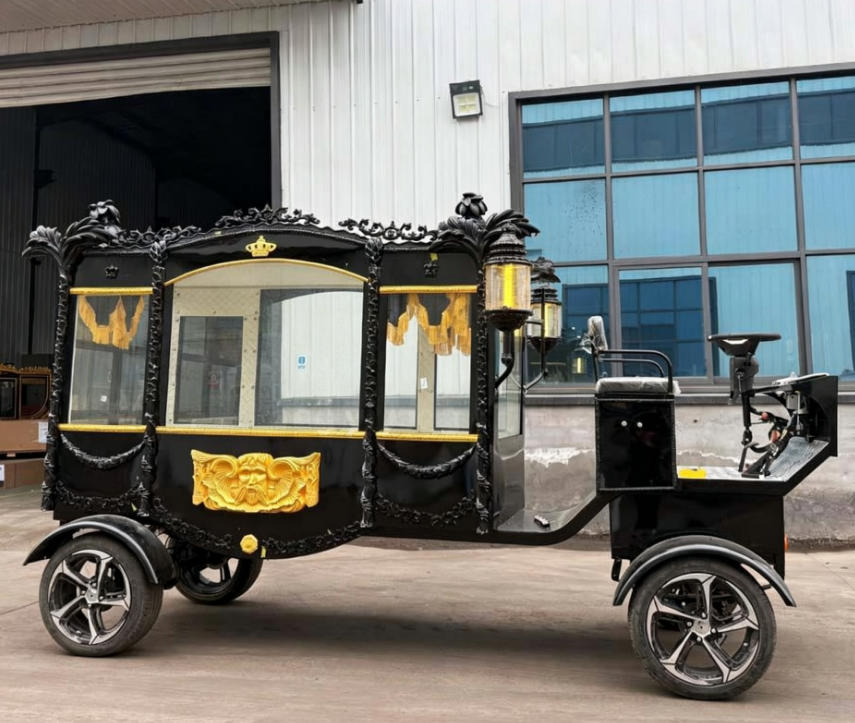 Antique Electric Black Hearse - 图片 4