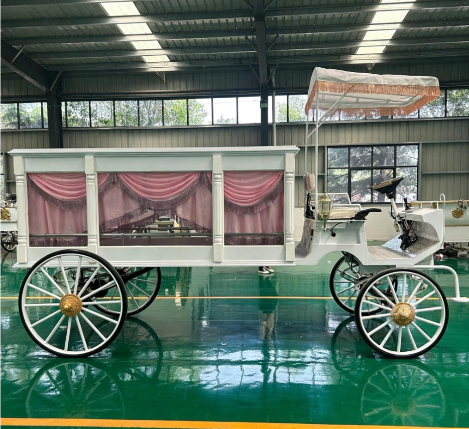 Electric Funeral Carriage - 图片 3