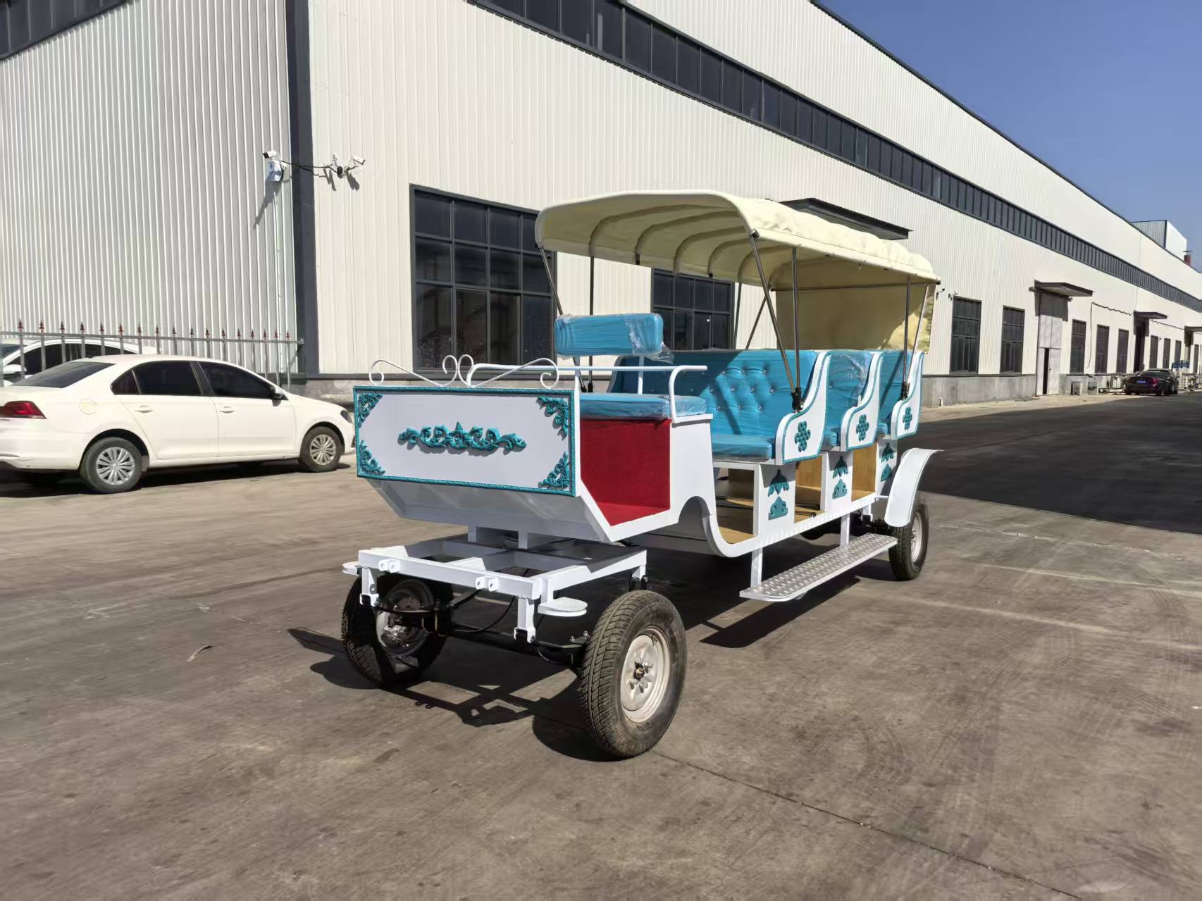 White Sightseeing Carriage - 图片 5