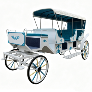 White Sightseeing Carriage