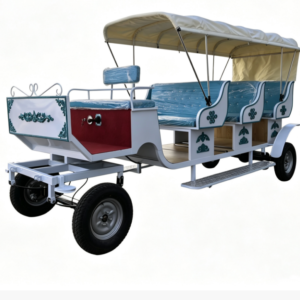 White Sightseeing Carriage