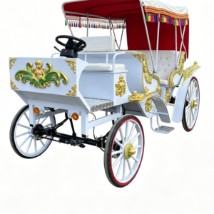 White Sightseeing Carriage