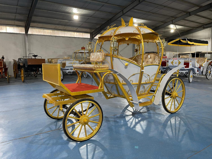 White and Gold Pumpkin Carriage - 图片 2
