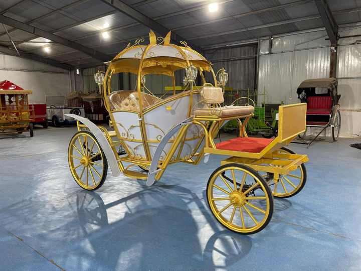 White and Gold Pumpkin Carriage - 图片 3