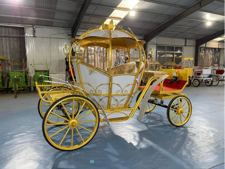 White and Gold Pumpkin Carriage - 图片 4