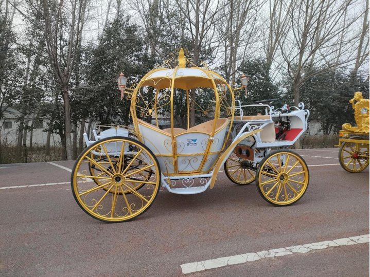 White and Gold Pumpkin Carriage - 图片 6