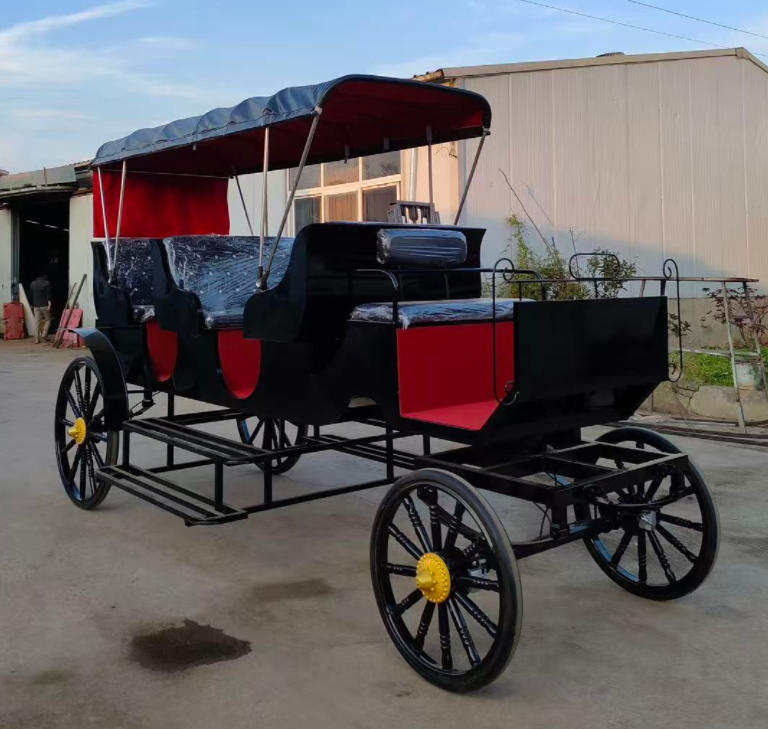 Luxury Vintage Black Sightseeing Carriage - 图片 2