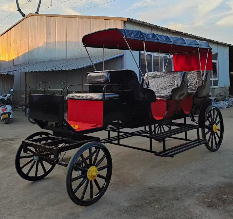 Luxury Vintage Black Sightseeing Carriage - 图片 4