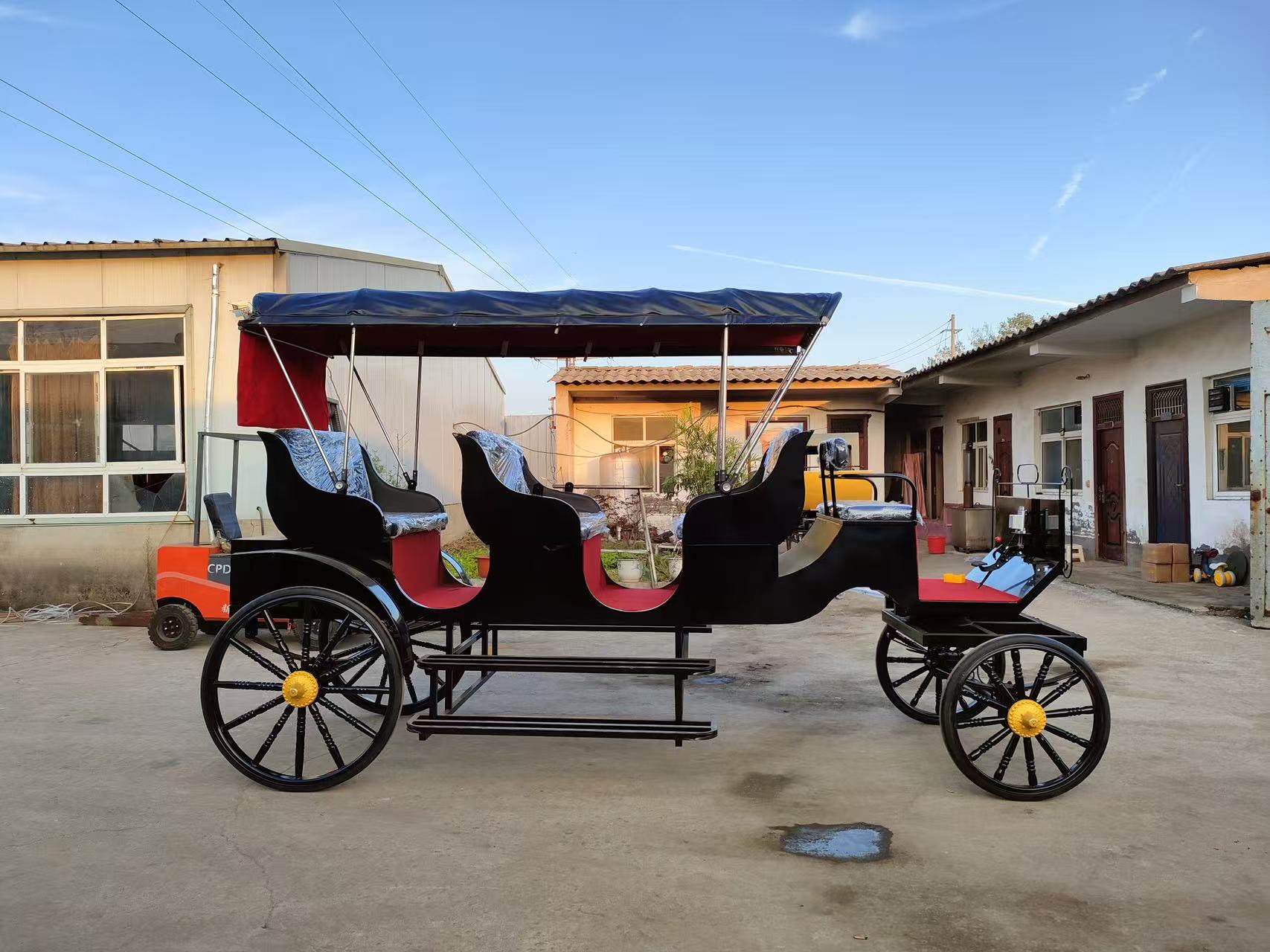 Luxury Vintage Black Sightseeing Carriage - 图片 3